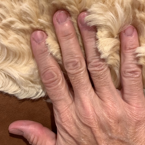 True Vintage Sawyer Jacket buttery Suede and shearling - Picture 5 of 12